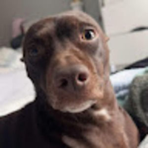 Meet your Posher, Brooklyn